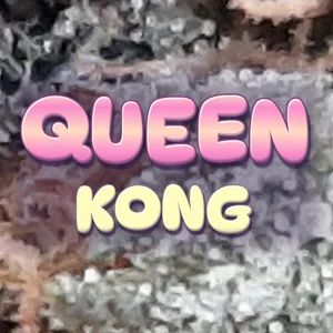 Queen Kong Cannabis Strain