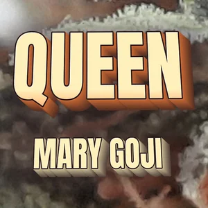 Queen Mary Goji Cannabis Strain