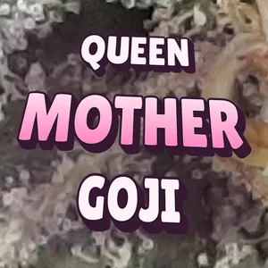 Queen Mother Goji Cannabis Strain