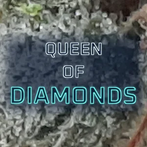 Queen of Diamonds Cannabis Strain