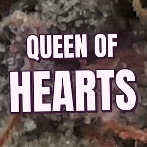 Queen of Hearts Cannabis Strain