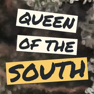 Queen of the South Cannabis Strain
