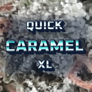 Quick Caramel XL Cannabis Strain