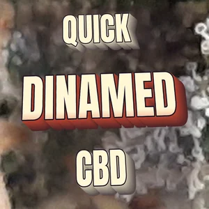 Quick Dinamed CBD Cannabis Strain