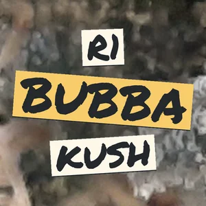 R1 Bubba Kush Cannabis Strain