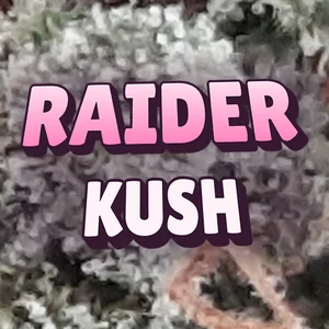 Raider Kush Cannabis Strain