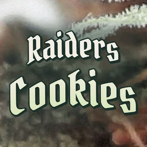 Raiders Cookies Cannabis Strain