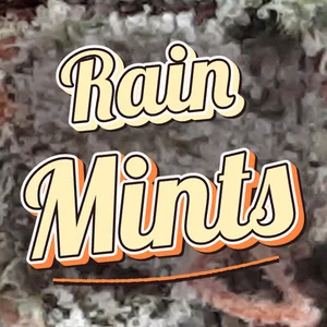 Rain Mints Cannabis Strain