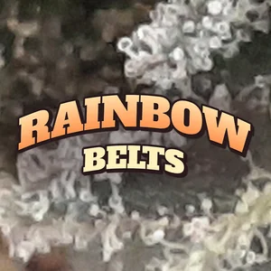 Rainbow Belts Cannabis Strain