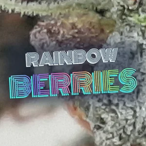 Rainbow Berries Cannabis Strain