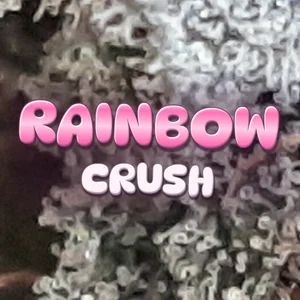 Rainbow Crush Cannabis Strain