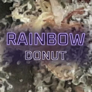 Rainbow Donut Cannabis Strain