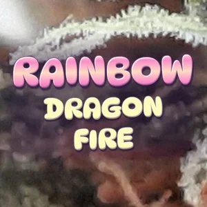 Rainbow Dragon Fire Cannabis Strain