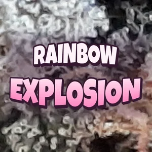 Rainbow Explosion Cannabis Strain