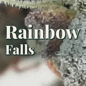 Rainbow Falls Cannabis Strain