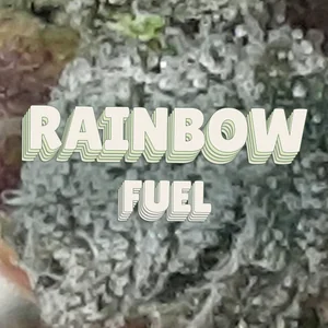 Rainbow Fuel Cannabis Strain