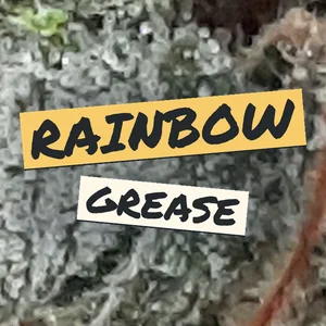 Rainbow Grease Cannabis Strain