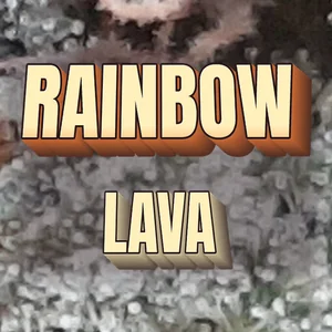 Rainbow Lava Cannabis Strain