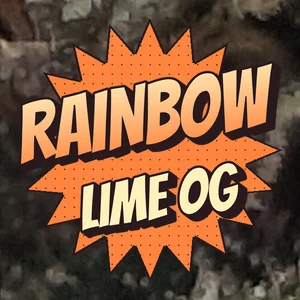 Rainbow Lime OG Cannabis Strain