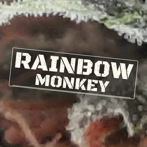 Rainbow Monkey Cannabis Strain