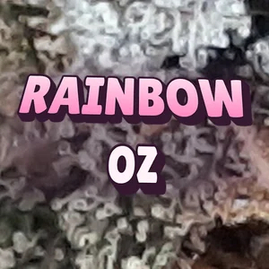 Rainbow OZ Cannabis Strain