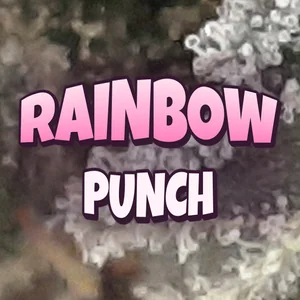 Rainbow Punch Cannabis Strain