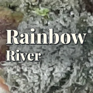 Rainbow River Cannabis Strain