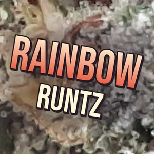 Rainbow Runtz Cannabis Strain