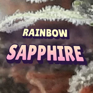 Rainbow Sapphire Cannabis Strain