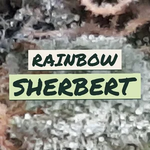 Rainbow Sherbert Cannabis Strain
