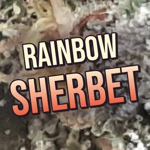 Rainbow Sherbet Cannabis Strain