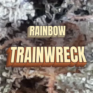 Rainbow Trainwreck Cannabis Strain