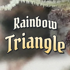 Rainbow Triangle Cannabis Strain