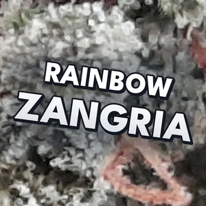 Rainbow Zangria Cannabis Strain