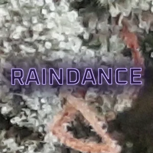 Raindance Cannabis Strain