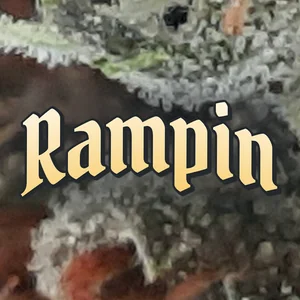 Rampin Cannabis Strain