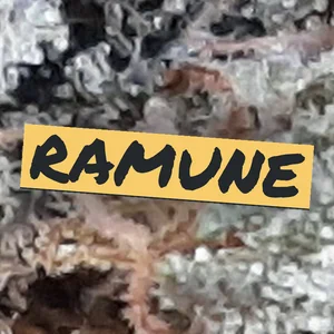 Ramune Cannabis Strain