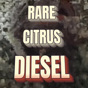 Rare Citrus Diesel Cannabis Strain