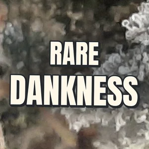 Rare Dankness Cannabis Strain
