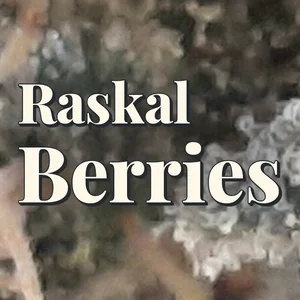 Raskal Berries Cannabis Strain