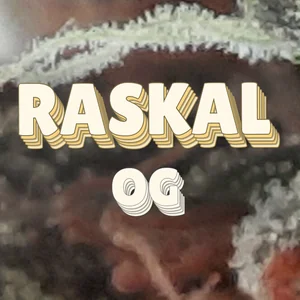 Raskal OG Cannabis Strain