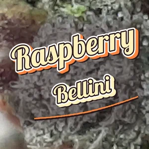 Raspberry Bellini Cannabis Strain