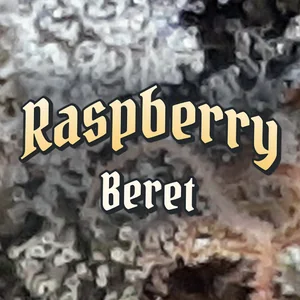 Raspberry Beret Cannabis Strain