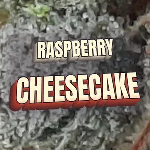 Raspberry Cheesecake Cannabis Strain