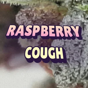 Raspberry Cough Cannabis Strain