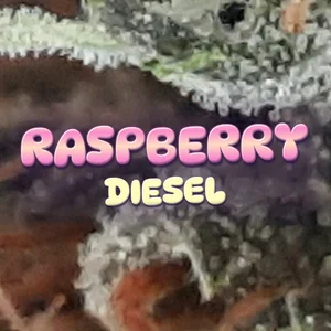 Raspberry Diesel Cannabis Strain