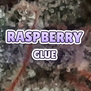 Raspberry Glue Cannabis Strain