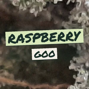 Raspberry Goo Cannabis Strain