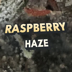 Raspberry Haze Cannabis Strain
