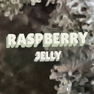 Raspberry Jelly Cannabis Strain